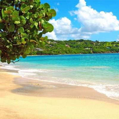 亿博手机端app下载安装